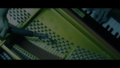 The Workd Music Festival IN HAMAMATSU