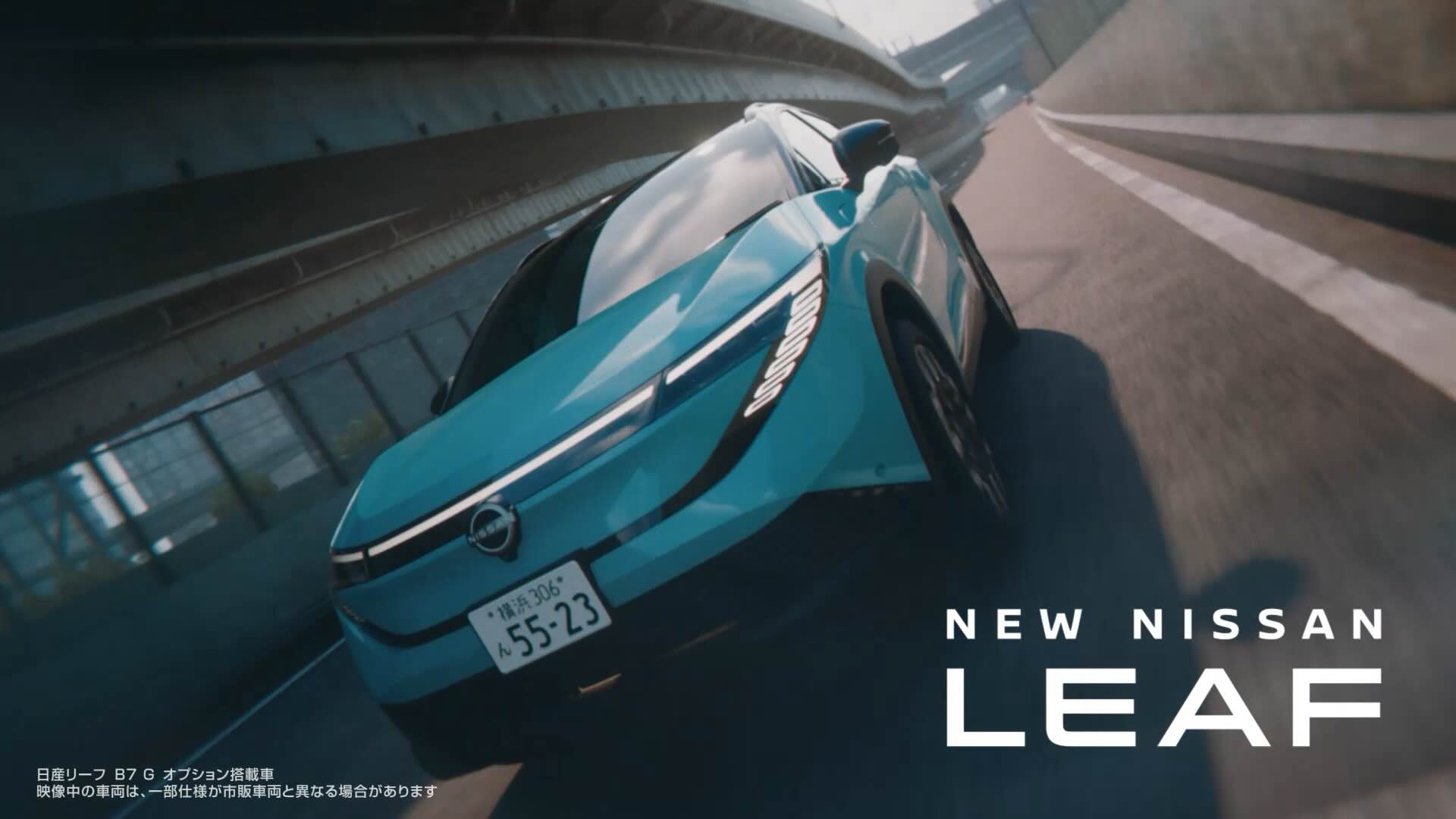 NISSAN LEAFE